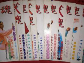 老版经典：武魂1997年1~12期全（总第103期~第114期）