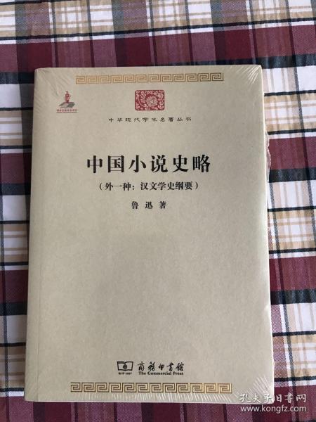 中国小说史略：汉文学史纲要)