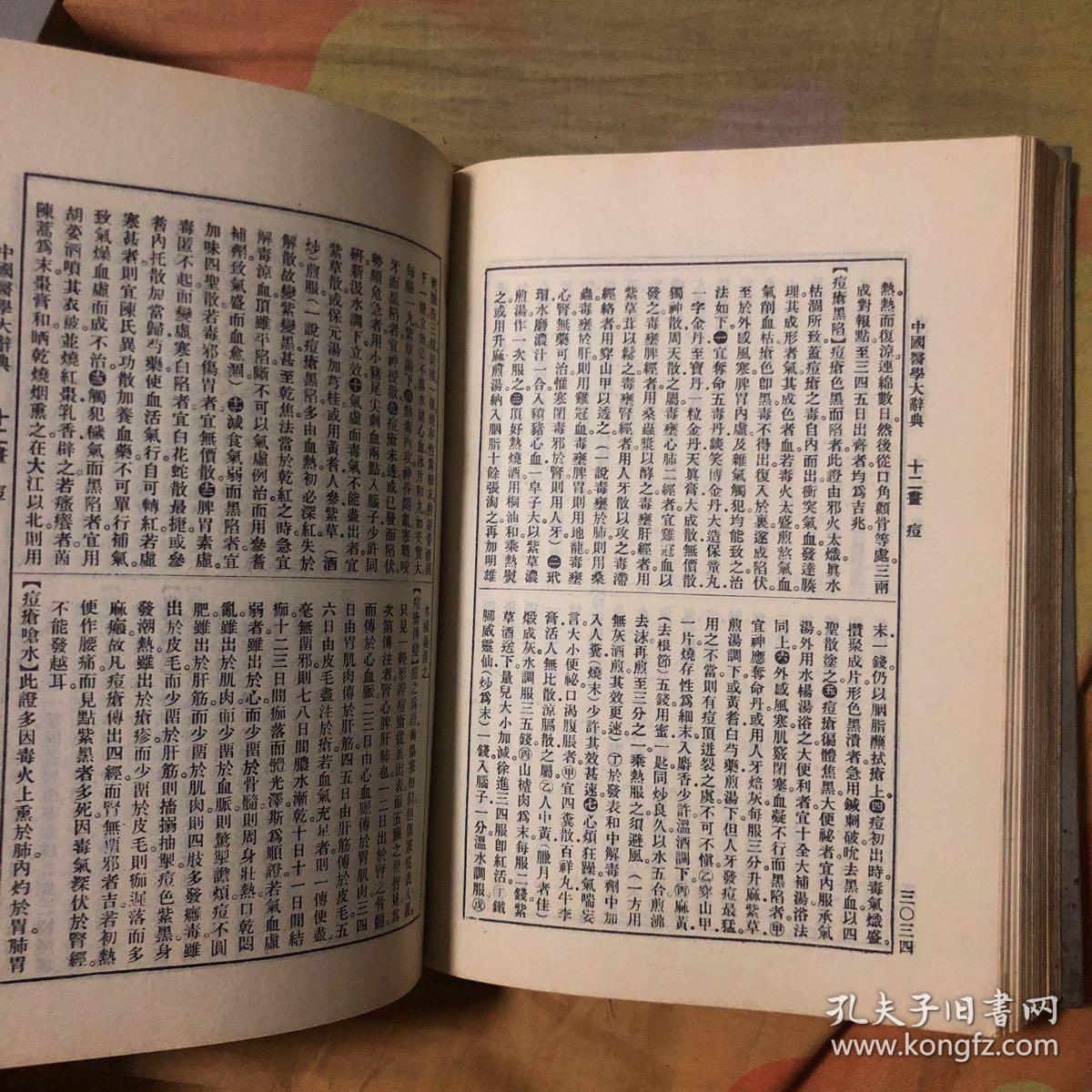 中国医学大词典 第2–3册（货号R4）