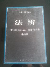 法辨：中国法的过去、现在与未来