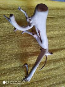 崖柏摆件    纯手工制作崖柏摆件，长28cm高17cm，重369克。不同的摆放有不同的象形，不同的心境有不同的想象。如游龙戏凤，如龙腾虎跃，如小鹿奔跑，如老翁垂钓寒江雪，漂亮，美，只可意会，不可言传！……