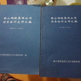 鞍山钢铁集团公司财务会计文件汇编