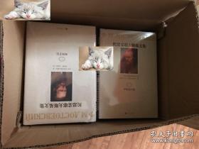 费·陀思妥耶夫斯基全集【全20卷】 精装  原装箱  带塑封 一版一印  正版现货 包快递