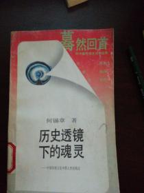 历史透镜下的灵魂
