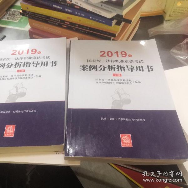 司法考试2019 2019年国家统一法律职业资格考试案例分析指导用书（全2册）