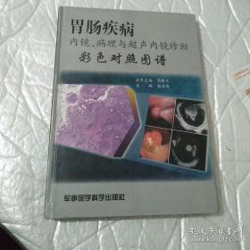 胃肠疾病内镜、病理与超声内镜诊断彩色对照