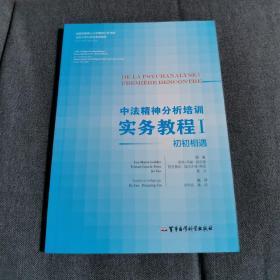 中法精神分析培训实务教程1:初初相遇