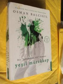 yesil murekkep 土耳其语原版 大32开