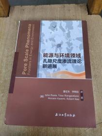 能源与环境领域孔隙尺度渗流理论新进展