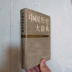 中国历史大辞典 文学史