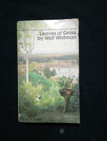 Leaves of Grass by Walf Whitman