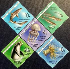 【苏联邮票 1991年 海洋动物（海蜇、海胆等）5全新】全新十品