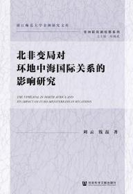 北非变局对环地中海国际关系的影响研究        刘云 钱磊 著