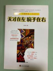 天才在左 疯子在右：国内第一本精神病人访谈手记