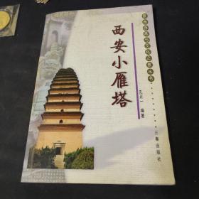 西安小雁塔——陕西自然与文化之旅丛书