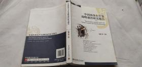 中国西部大开发战略前沿研究报告