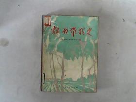 虹南作战史，1972一版一印，有发票