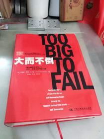 大而不倒：2010年全球政要和首席执行官争相阅读的金融危机启示录