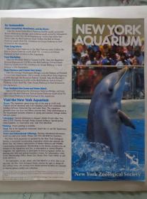 NEW YORK AQUARIUM美国纽约水族馆 80年代 16开折页 英文版 纽约水族馆交通位置图。黑脚企鹅、蓝面神仙鱼、北太平洋巨型章鱼、妪鳞鲀、太平洋海象、白鲸、长鼻蝶鱼、独角倒吊、沙虎鲨、加州海狮、海星、太平洋墨鱼、狮子鱼图文介绍。