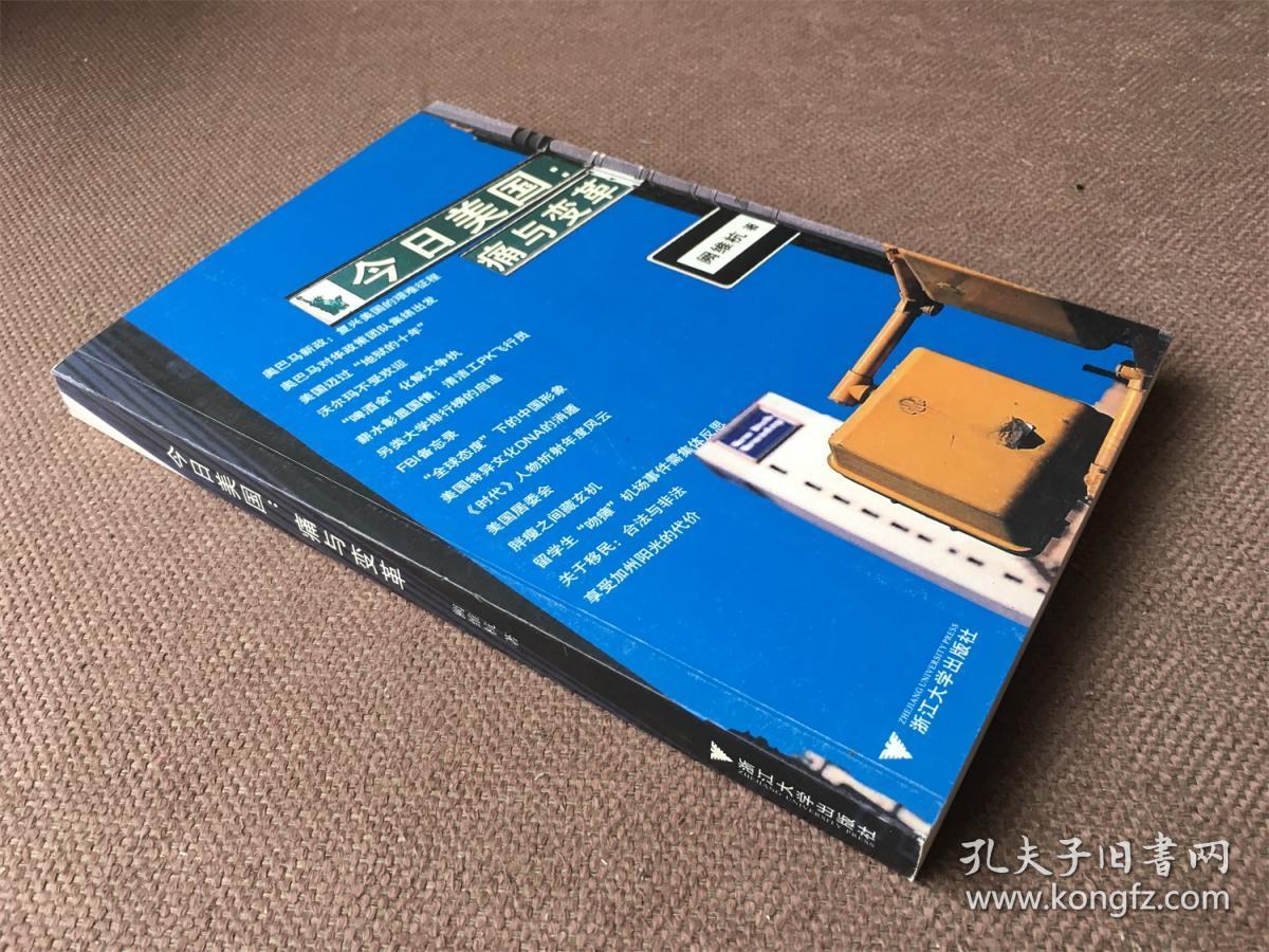 今日美国：痛与变革