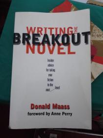 Writing The Breakout Novel: Insider Advice For Taking Your Fiction To The Next Level.