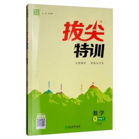 拔尖特训：数学（九年级下人教版）