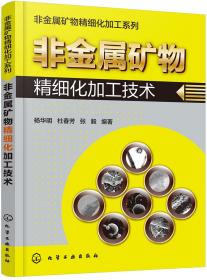 非金属矿物精细化加工系列--非金属矿物精细化加工技术