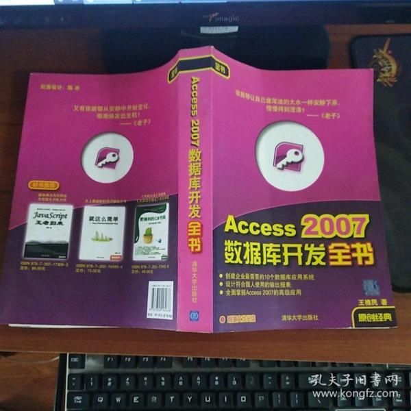 Access 2007数据库开发全书 （无光盘）