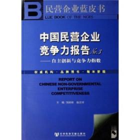 中国民营企业竞争力报告NO3：自主创新与竞争力指数