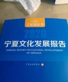 宁夏文化发展报告2020