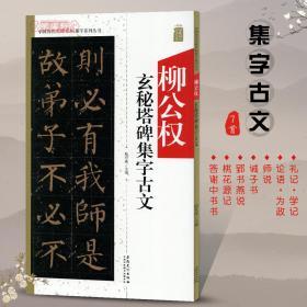 柳公权玄秘塔碑集字古文中国历代名碑名帖集字系列丛书陆有珠楷书毛笔字帖书法临摹书籍碑帖桃花源记安徽美术