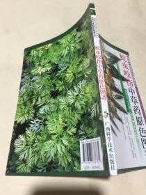 蛇虫咬伤中草药原色图谱