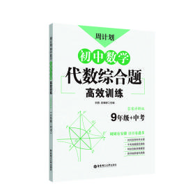 周计划：初中数学代数综合题高效训练（9年级+中考）