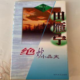 《田雁宁绝妙小品文》