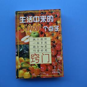 一版一印，《窍门：生活中来的5000个点子》