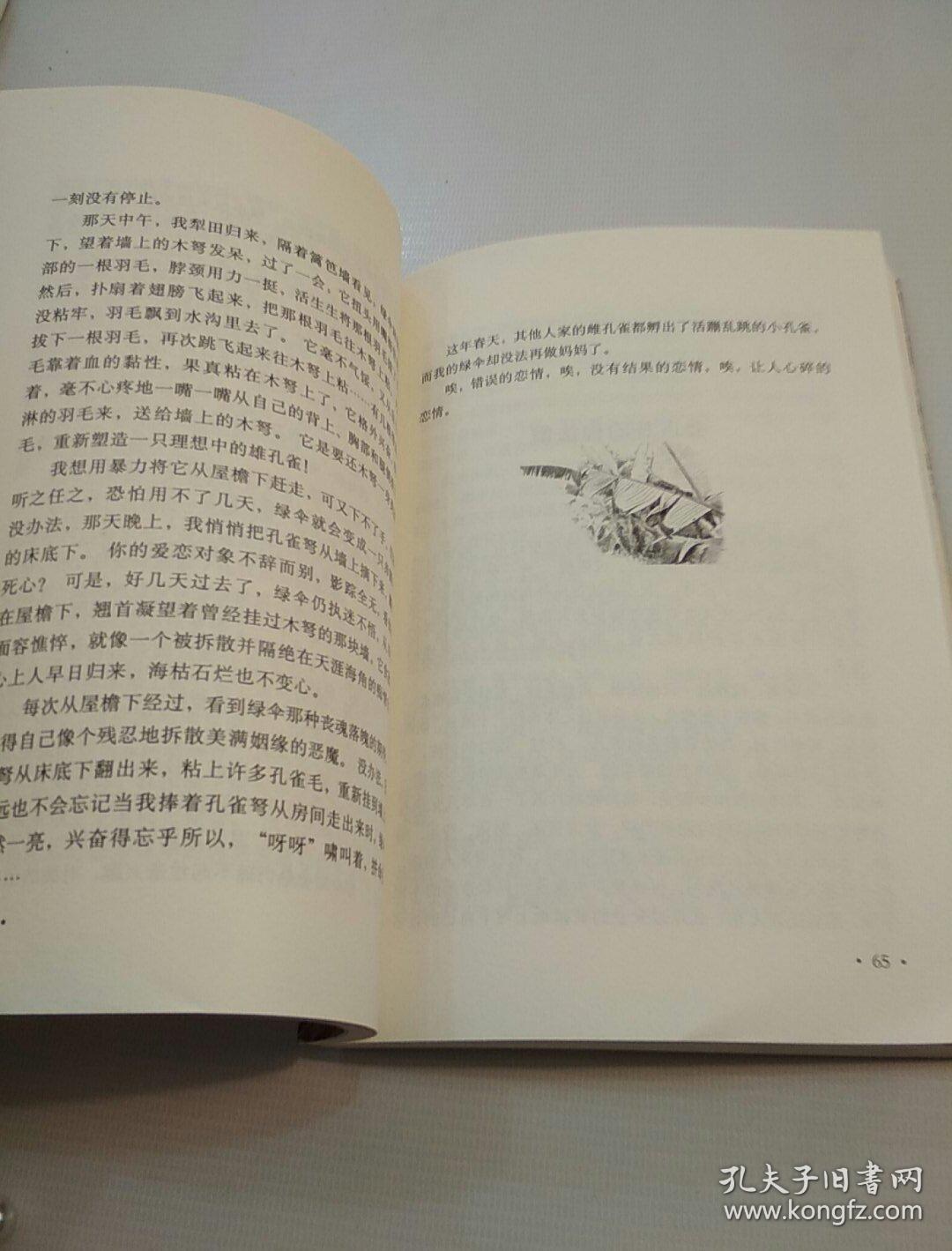 沈石溪激情动物小说 雄鹰金闪子