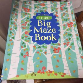 The usborne Big Maze Book
