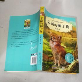 中外动物小说精品（升级版）：忠诚的狮子狗