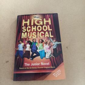 HIGH SCHOOL MUSICAL (THE JUNIOR NOVEL)