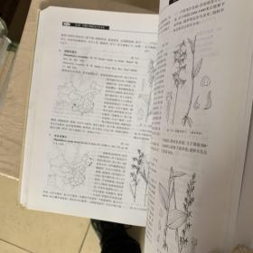 中国高等植物（全14册）修订版