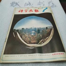 科学画报1981.7