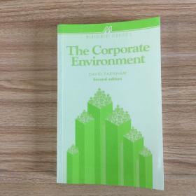 The Corporate Environment