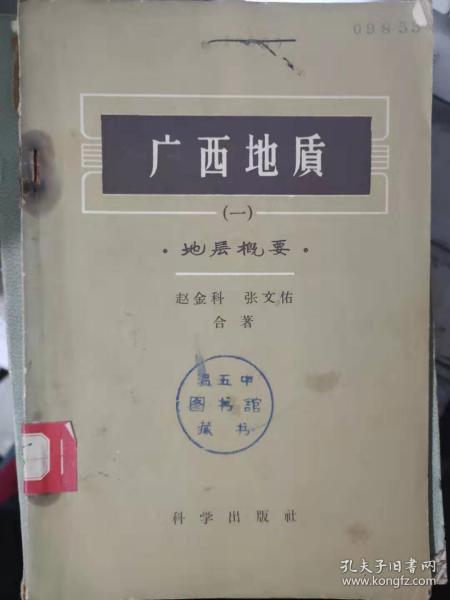 《广西地质（一）地层概要》泥盆纪以前的地层、泥盆纪地层、下石炭纪地层、中和上石炭纪地层、........