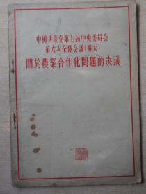 中国共产党第七届中央委员会第六次会议（扩大）关于农业合作化问题的决议