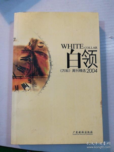 白领2004:《万科》周刊精选
