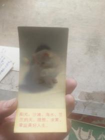 老版明信片散片 阳光 沙滩 海水