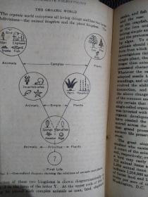 外文版《关于生物学方面的书》1935