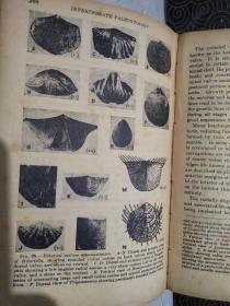 外文版《关于生物学方面的书》1935