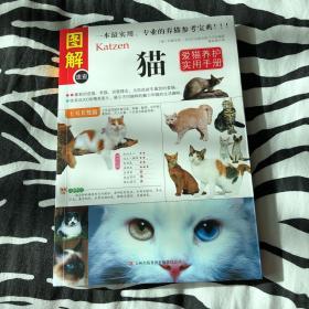 猫：爱猫养护实用手册