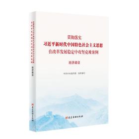 经济建设（贯彻落实习近平新时代中国特色社会主义思想在改革发展稳定中攻坚克难案例），